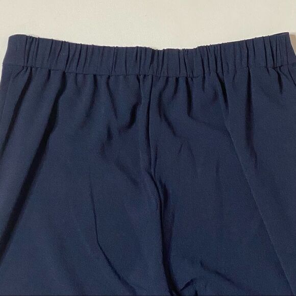 Ann Taylor Factory | Navy Capri Pants - Picture 7 of 7